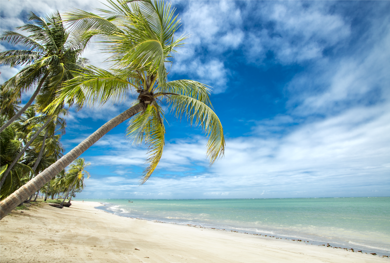 Praia De Barra Grande COOB