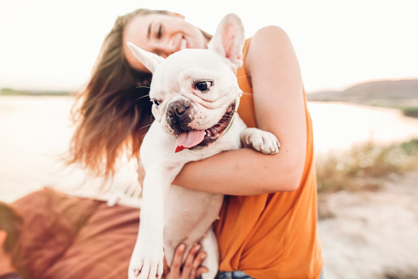 Hotéis Pet Friendly Coobrastur. Onde seu companheiro de estimação é sempre um hóspede especial.