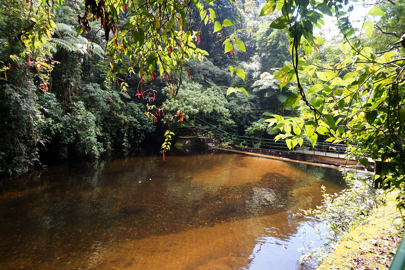 Nova Petrópolis