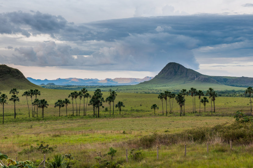 O que espera você em uma viagem pela Região Centro-Oeste do Brasil