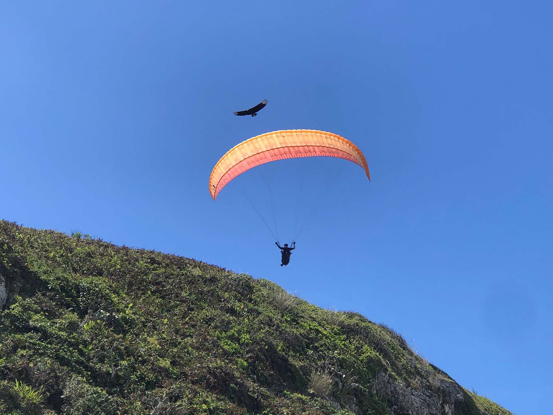 Voar de parapente em Torres/RS